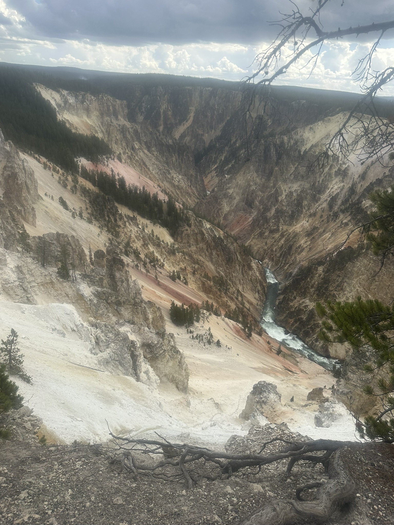 Yellowstone And Grand Teton National Parks - Image 628